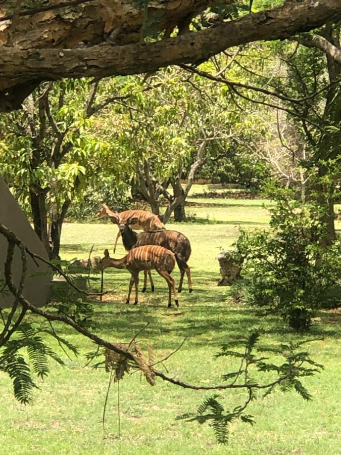 Jock Of The Bushveld Hotell Barberton Eksteriør bilde